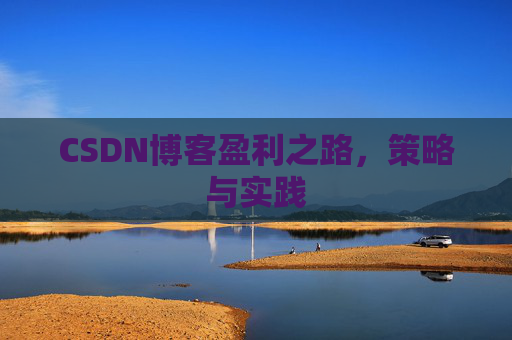 CSDN博客盈利之路，策略与实践